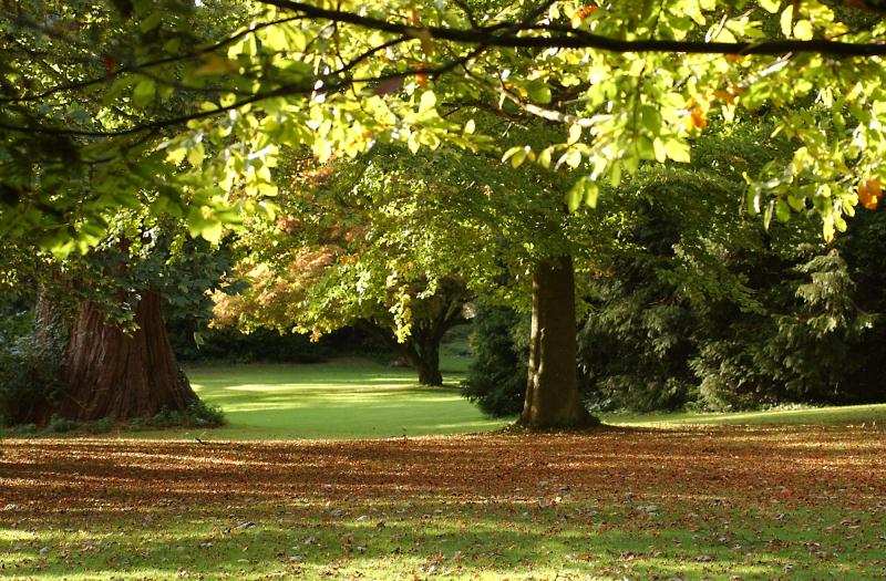 Westonbirt School Gardens